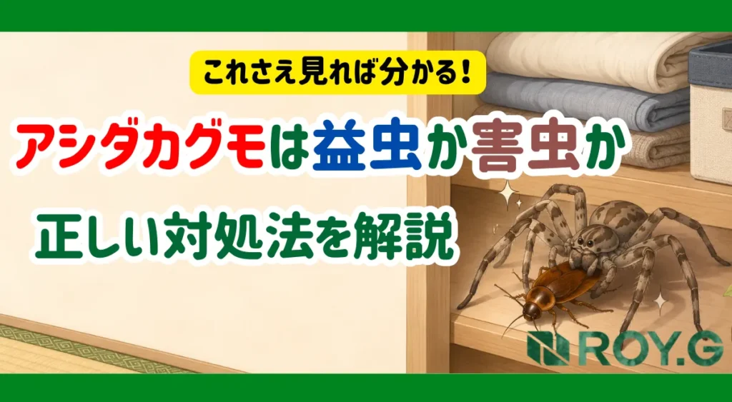 アシダカグモは益虫か害虫か