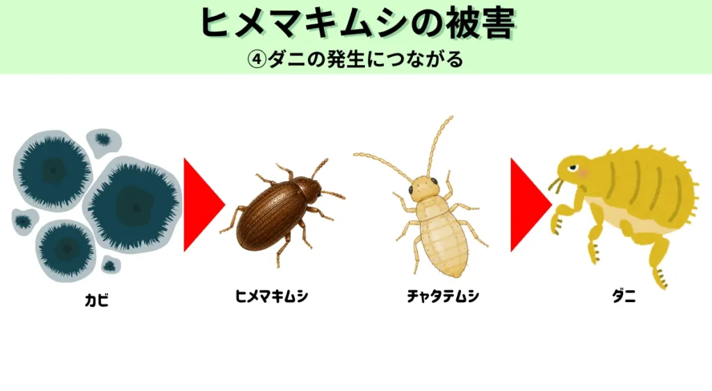 ヒメマキムシの被害・ダニの発生
