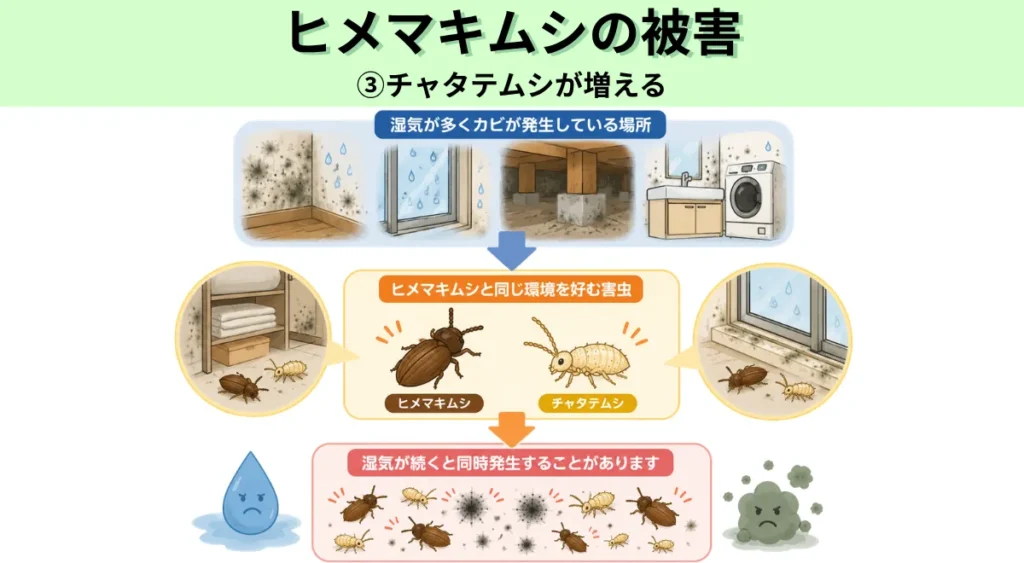 ヒメマキムシの被害・キャタテムシが増える