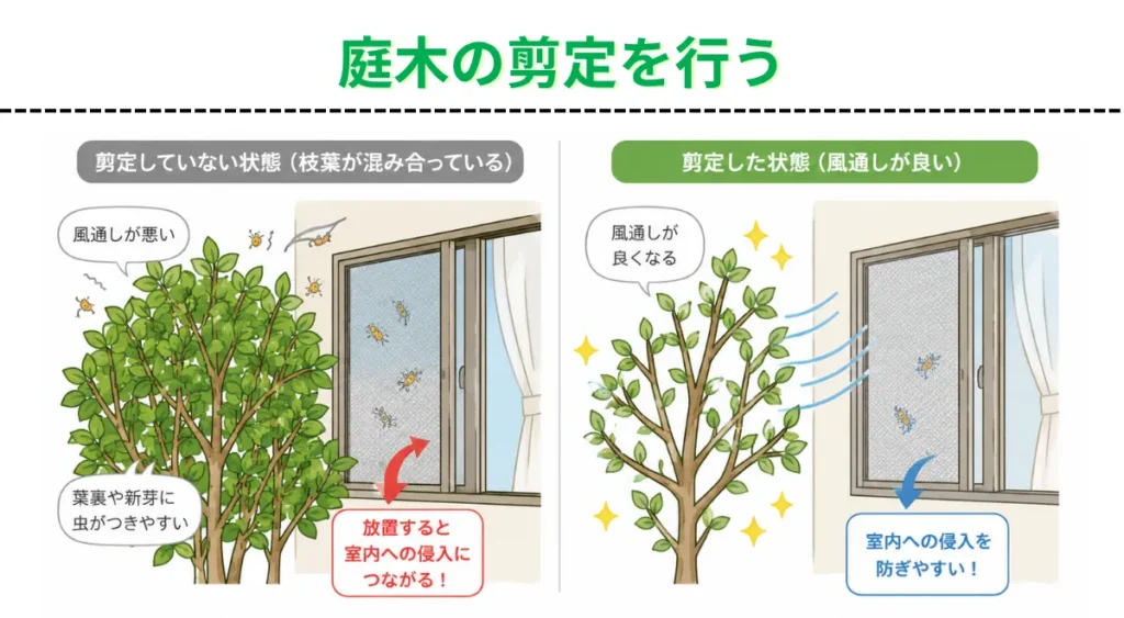 自分でできるチャノキイロアザミウマ対策・庭木の剪定を行う