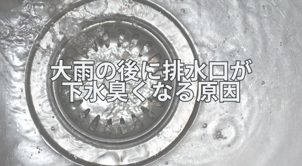 大雨の後に排水口が下水臭くなる原因