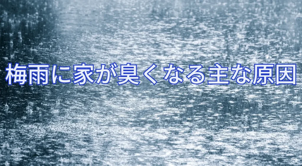 梅雨に家が臭くなる主な原因