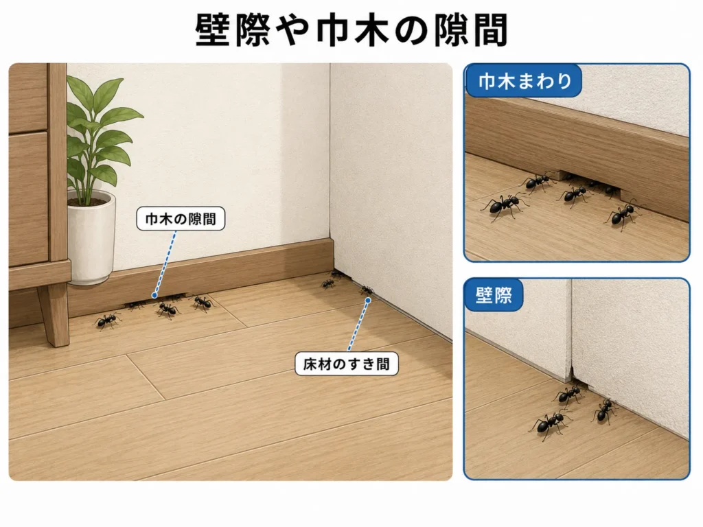 大きなアリが発生しやすい場所・壁際や巾木の隙間