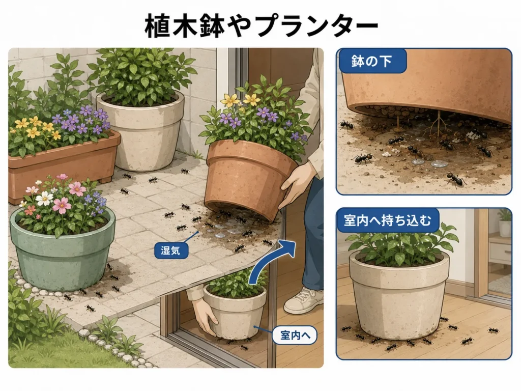 大きなアリが発生しやすい場所・植木鉢やプランター