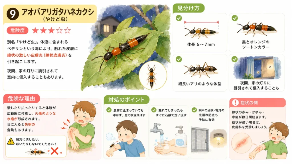 dangerous-summer-pests-for-children