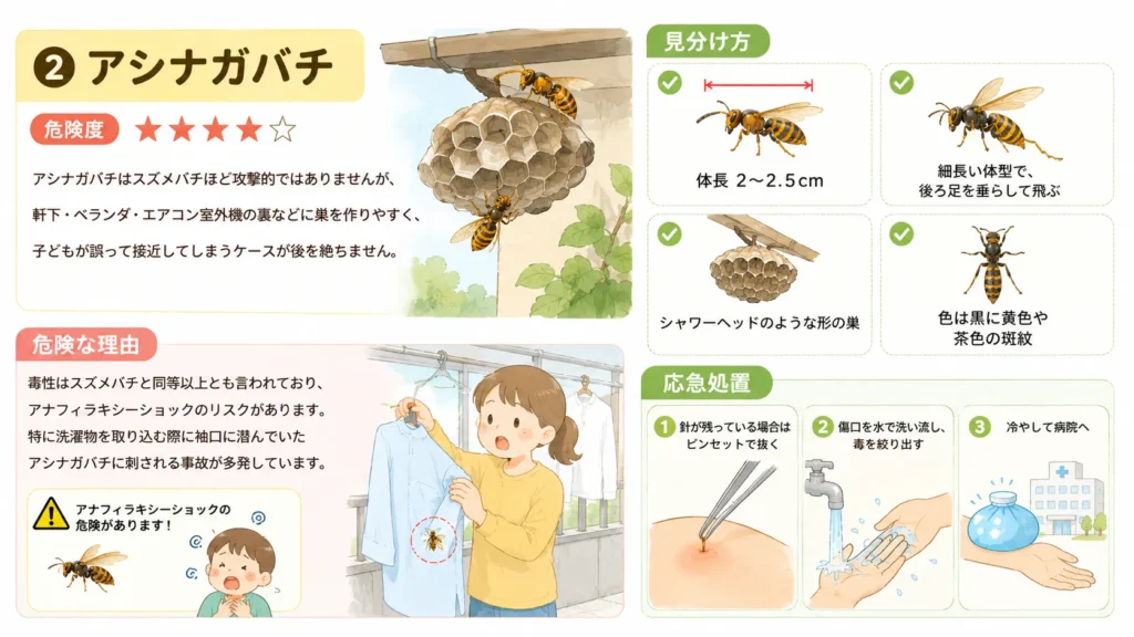 dangerous-summer-pests-for-children