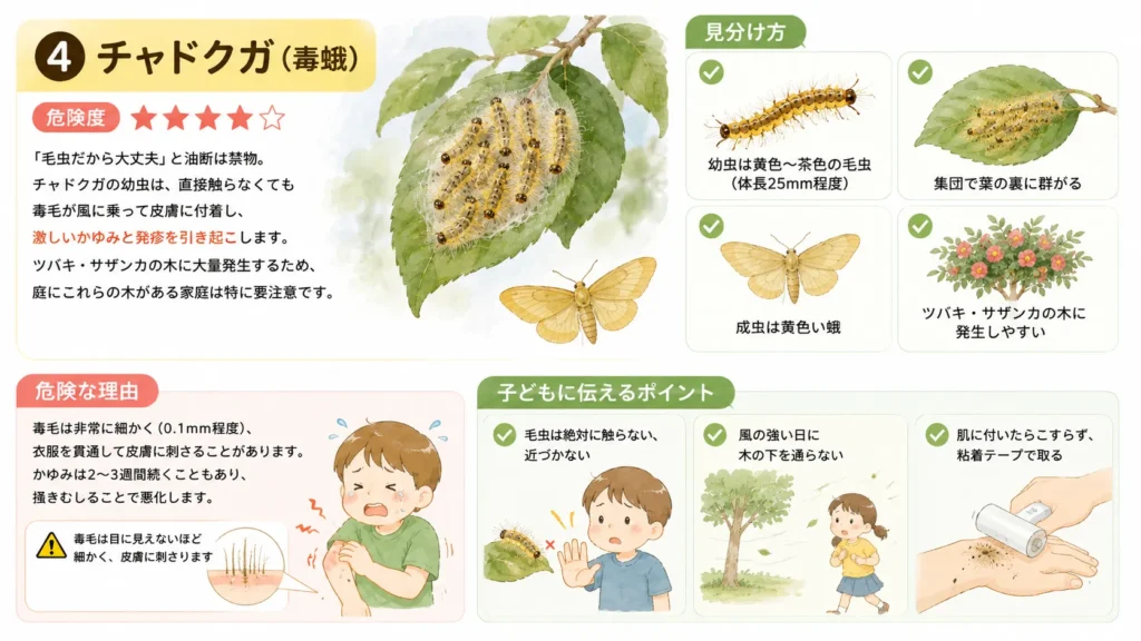 dangerous-summer-pests-for-children