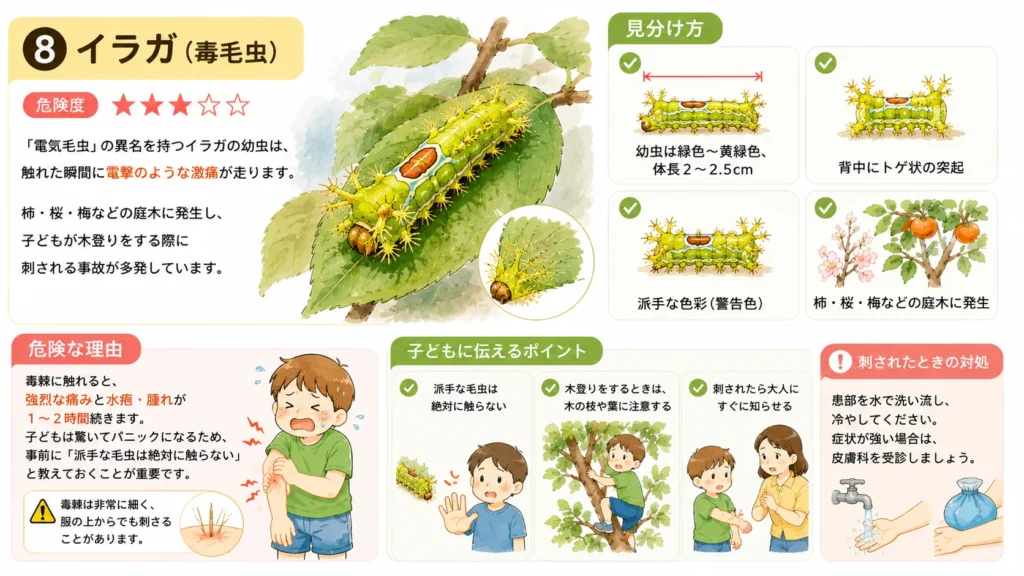 dangerous-summer-pests-for-children
