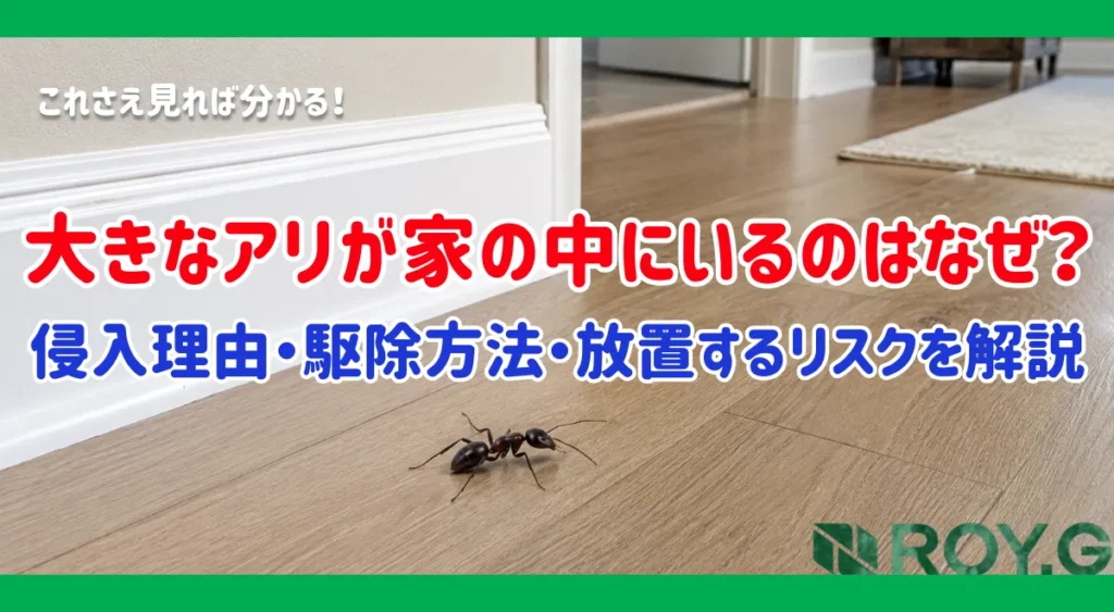 家の中に大きなアリが出た！侵入理由・駆除方法・放置するリスクをプロが徹底解説