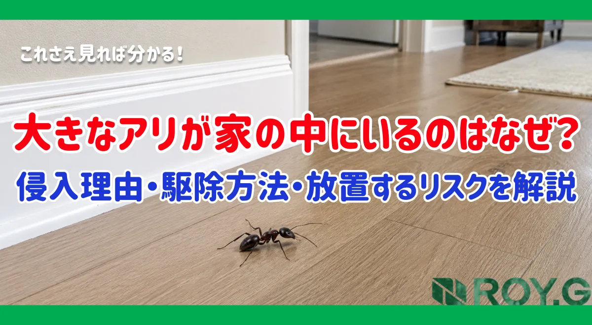 家の中に大きなアリが出た！侵入理由・駆除方法・放置するリスクをプロが徹底解説