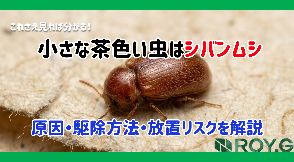 シバンムシの駆除方法｜発生源の見つけ方と再発防止策を解説