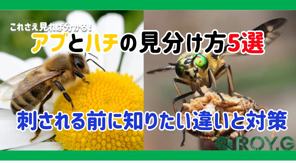 アブとハチの見分け方5選｜見た目・飛び方・巣の違いを解説