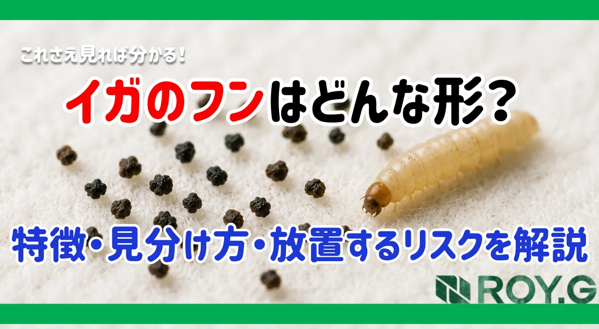 イガのフンはどんな形？特徴・見分け方・放置するリスクを解説
