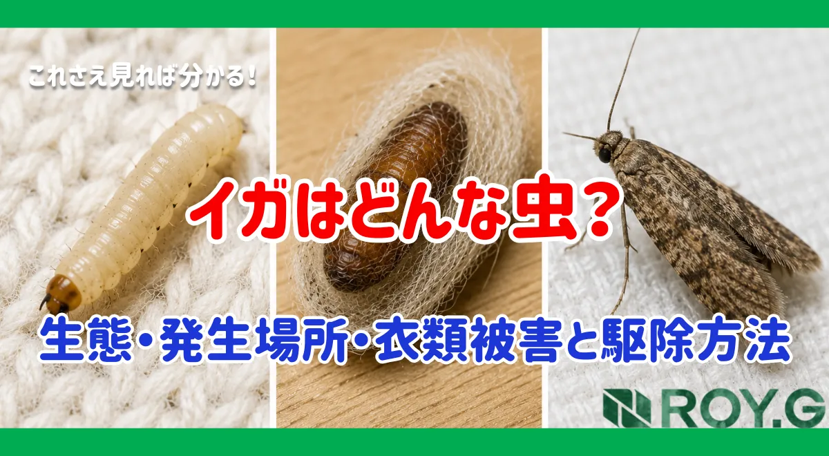 イガとは？生態・発生場所・衣類への被害・駆除方法を害虫駆除のプロが解説