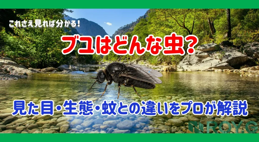 ブユとは?見た目・生態・蚊との違いを害虫駆除のプロが解説