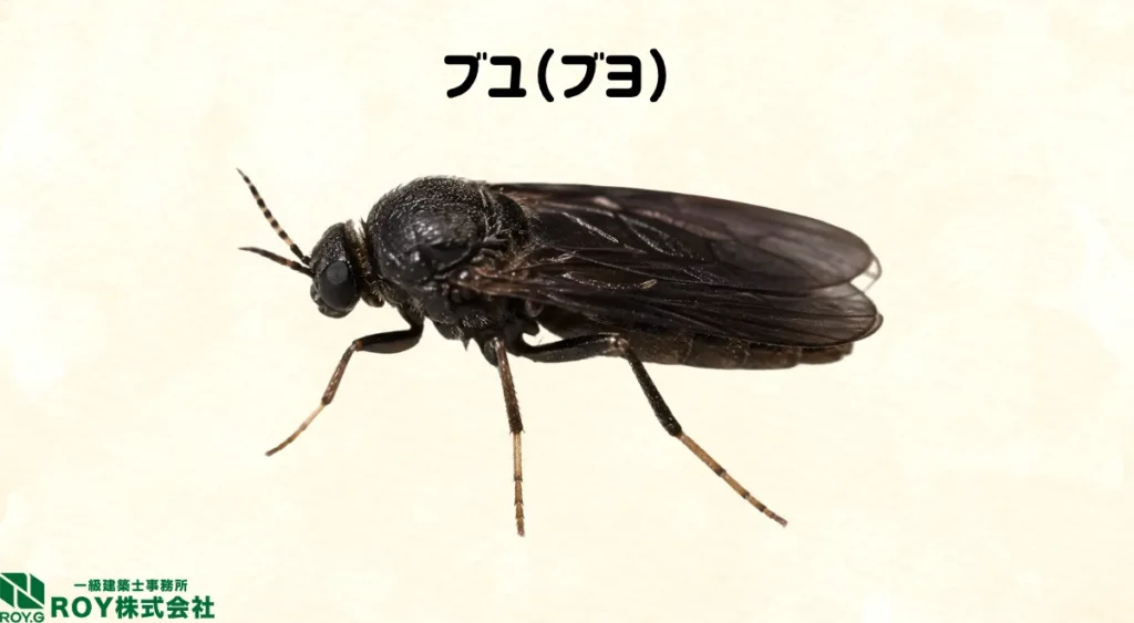 ブユとは