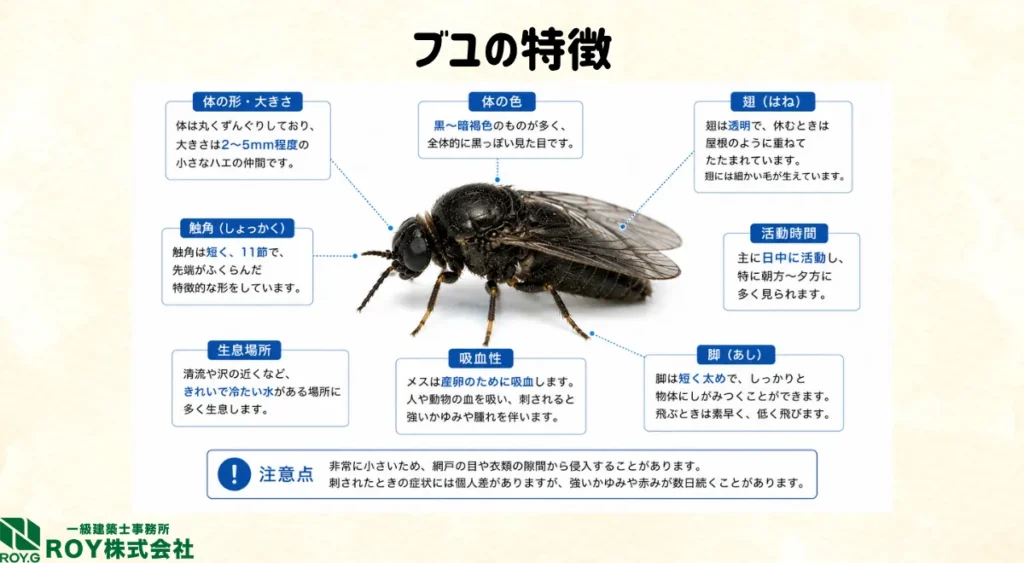 ブユの特徴