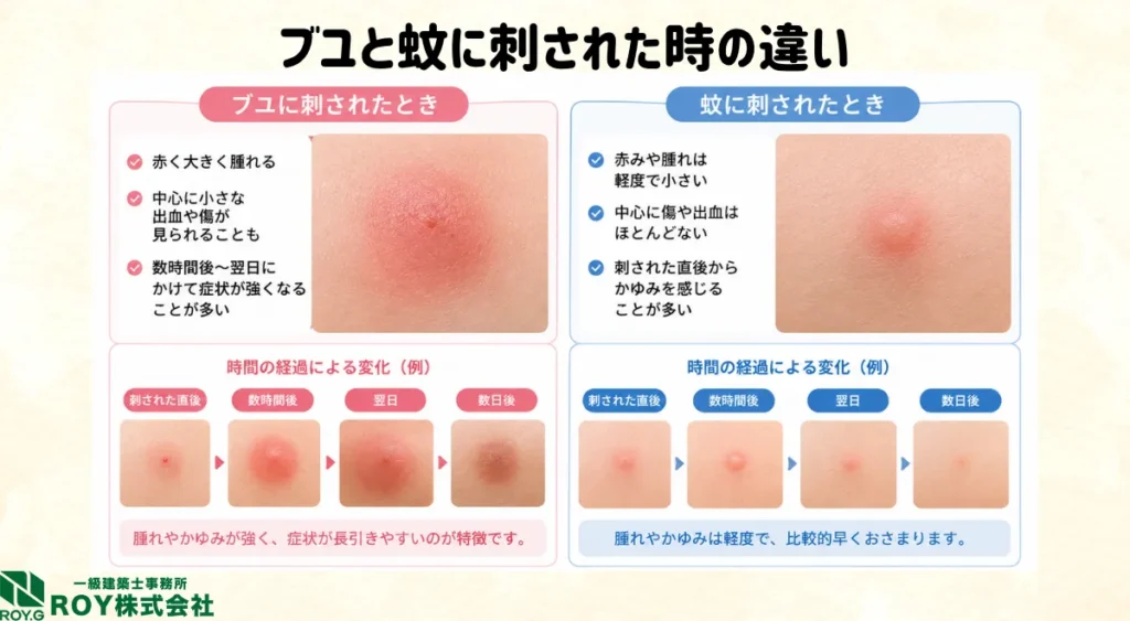 ブユと蚊に刺された時の違い