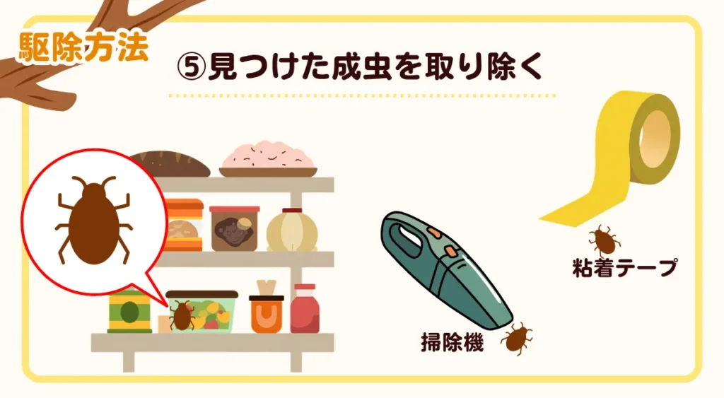 自分でできるシバンムシの駆除方法・見つけた成虫を取り除く