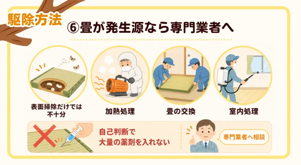 自分でできるシバンムシの駆除方法・畳が発生源なら専門業者へ相談する