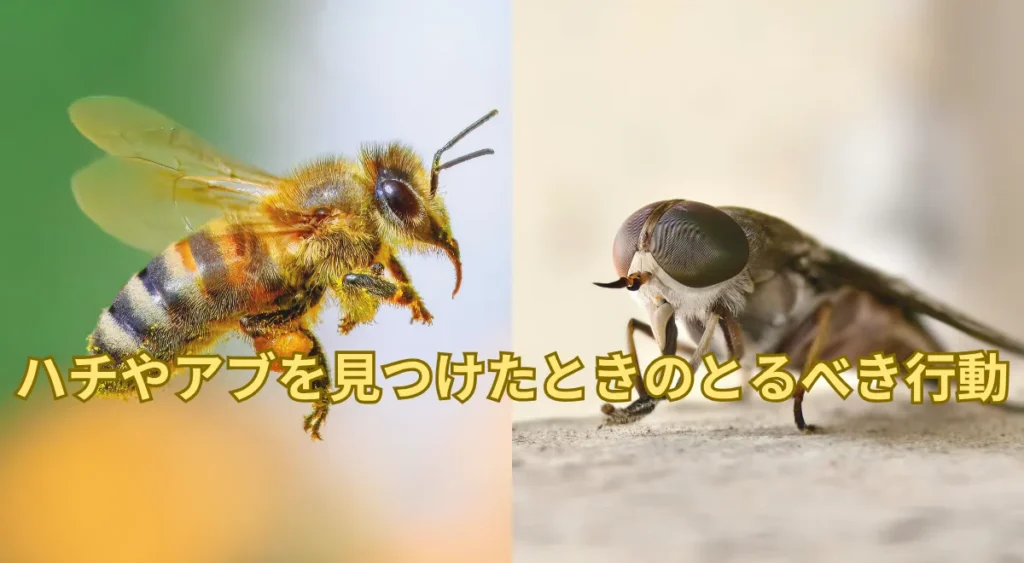 ハチやアブを見つけたときはどうする?