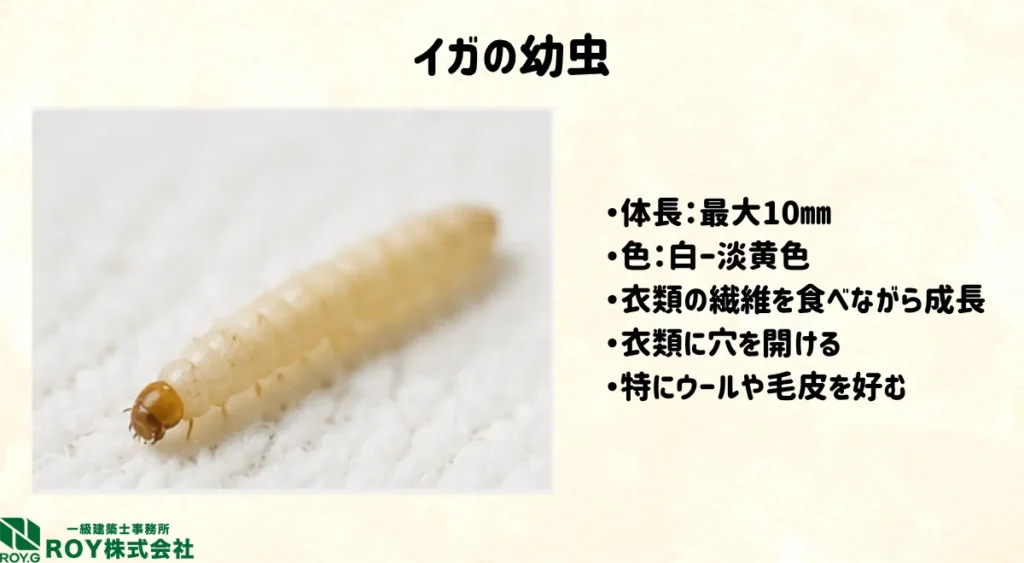 イガの幼虫の生態