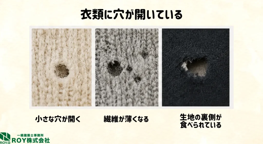 イガのフンの見分け方・衣類に穴が開いている