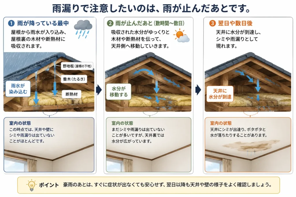 豪雨の後の屋根裏の様子・雨漏りの進行