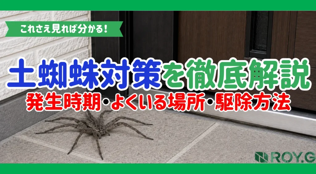 土蜘蛛が家の周りに増える原因とは|エサとなる害虫・侵入経路・対策方法を解説
