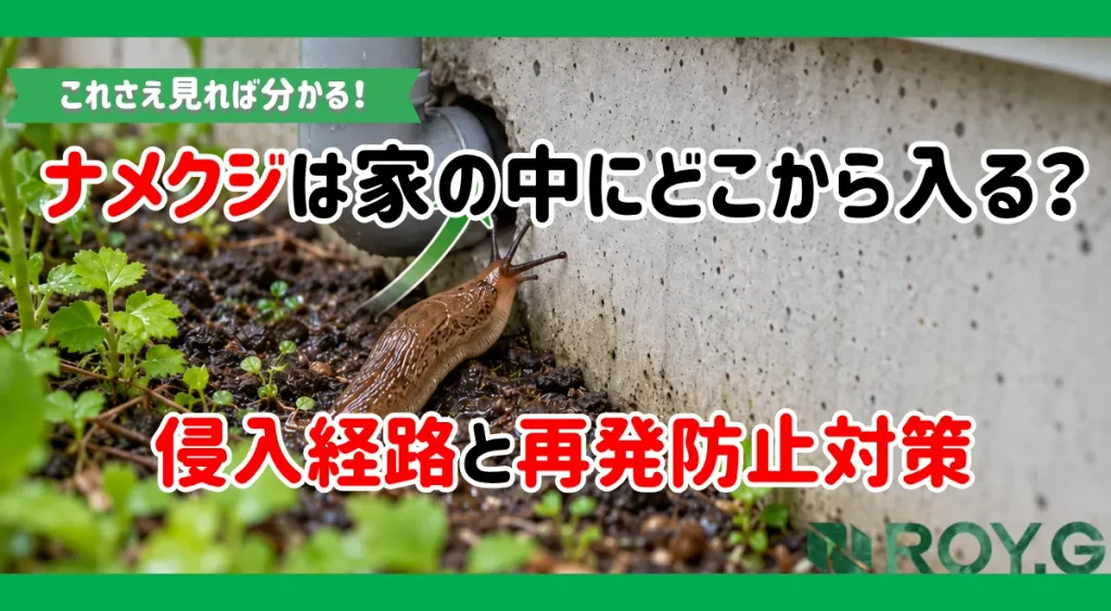 ナメクジが家に出る原因は？玄関・室内への侵入経路と住宅被害、業者に頼むメリット