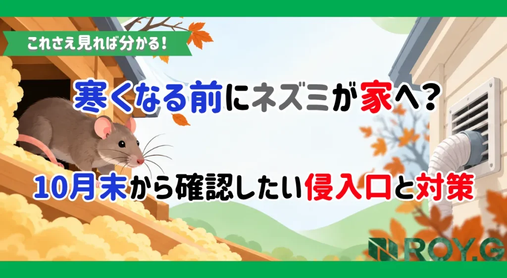 寒くなる前にネズミが家へ？10月末から確認したい侵入口と対策